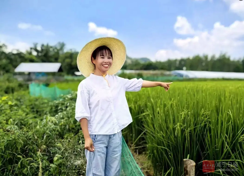 碩士新農(nóng)人田淑嫻回鄉(xiāng)創(chuàng)業(yè) 田埂上搞創(chuàng)新  畝利潤翻5倍